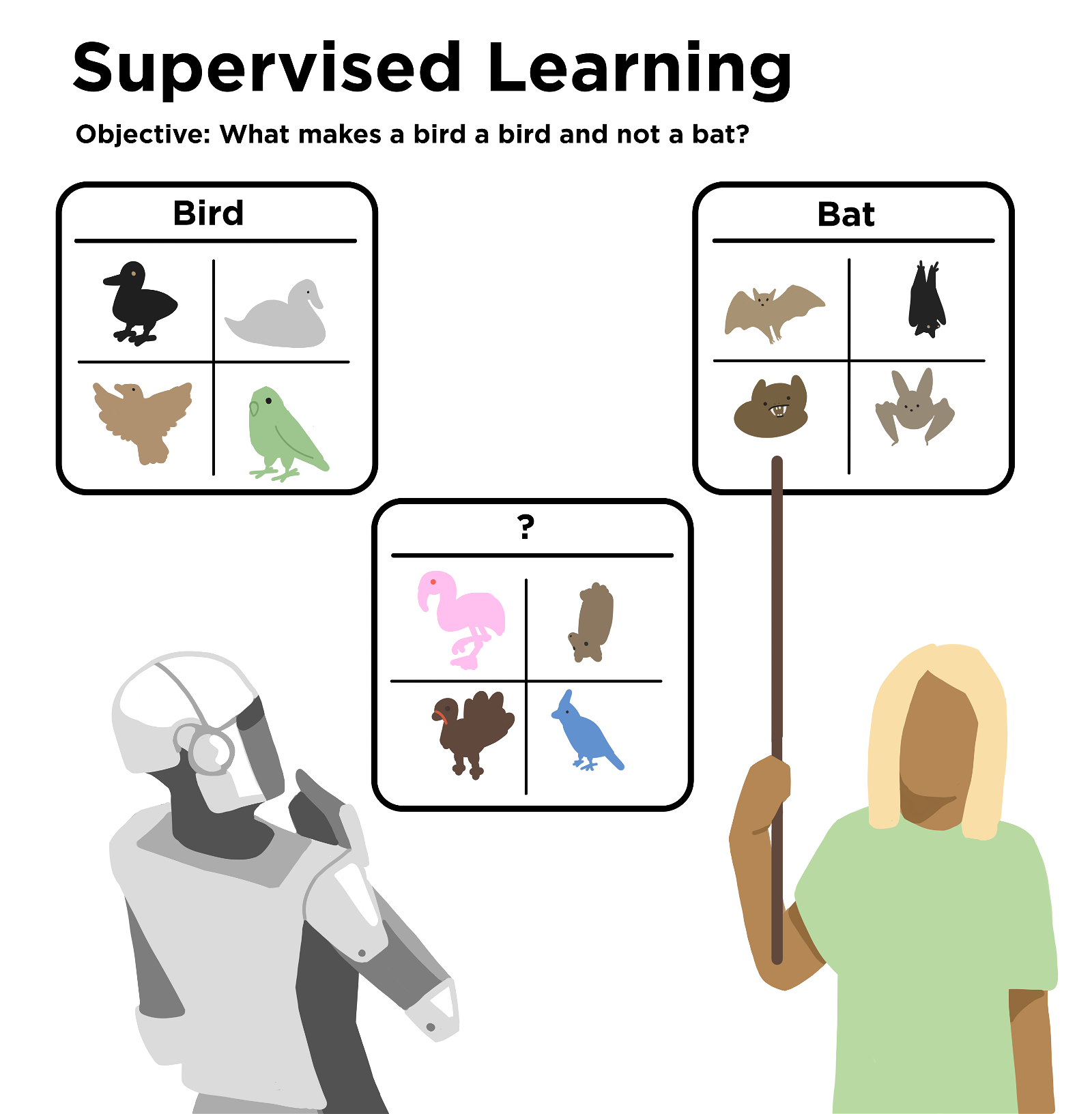 A title at the top states “Supervised Learning” with a subtitle underneath that says “Objective: What makes a bird a bird and not a bat?” A robotic humanoid figure looks at three posters while a person with a green shirt and long blond hair points with a pointer to a poster with “Bat” written above four different illustrations of bats. Another poster has “Bird” written above four illustrations of different birds. The third poster has a question mark written above four illustrations. Three of the four are birds and one is a bat.