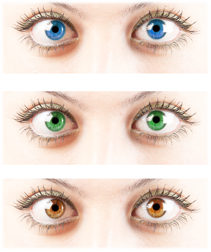 What Are Dominant And Recessive 