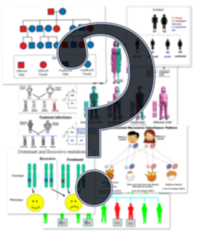 What Are Dominant And Recessive 