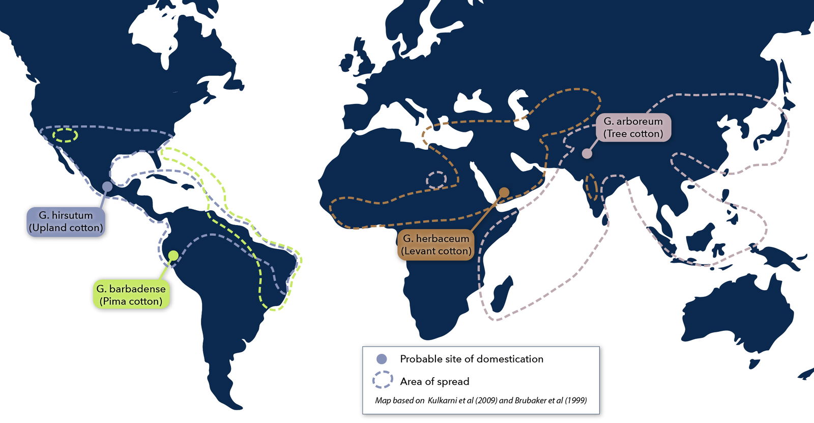 The Evolution Of Cotton