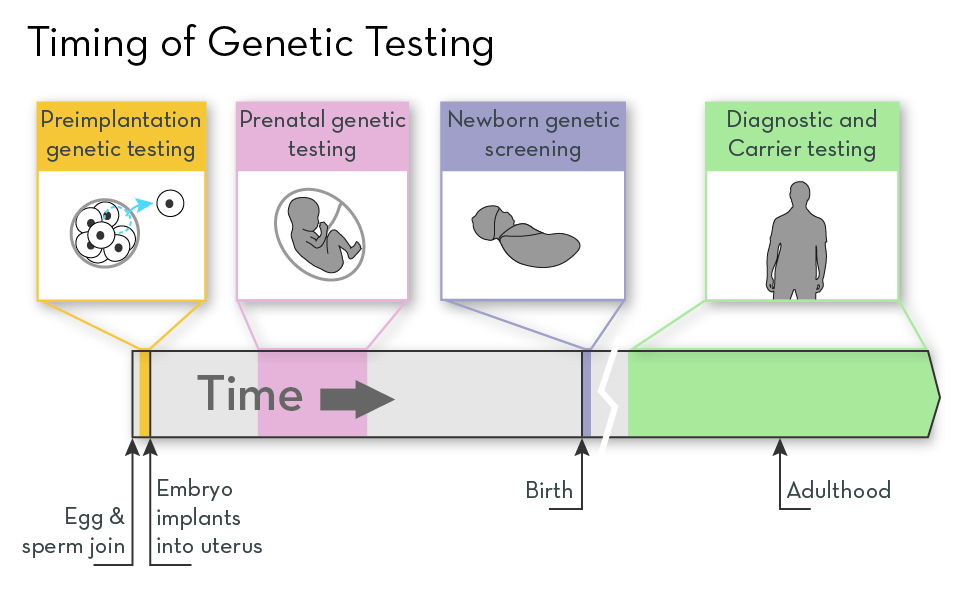 What Is Fetal Genetic Testing BEST GAMES WALKTHROUGH