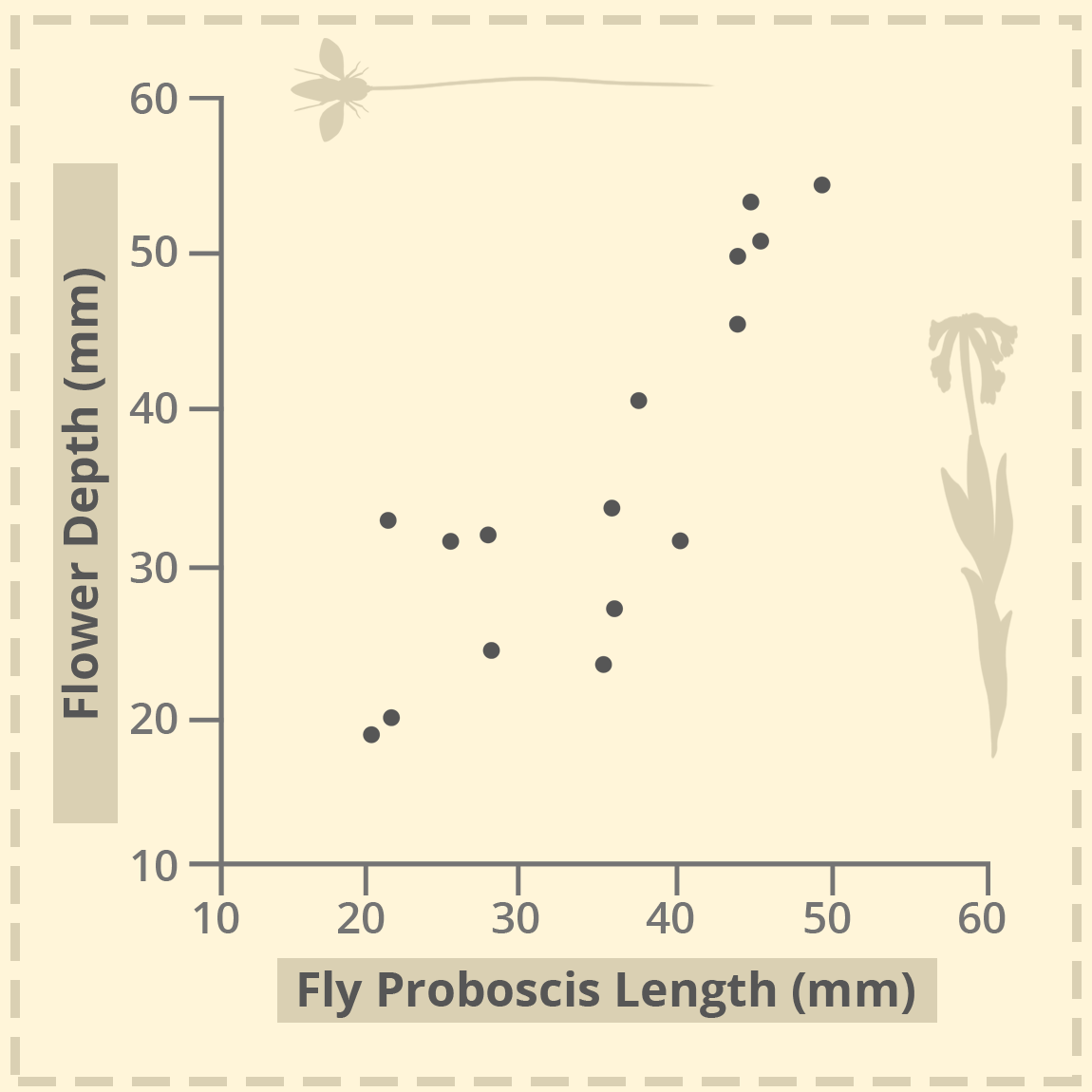 graph of fly proboscis length