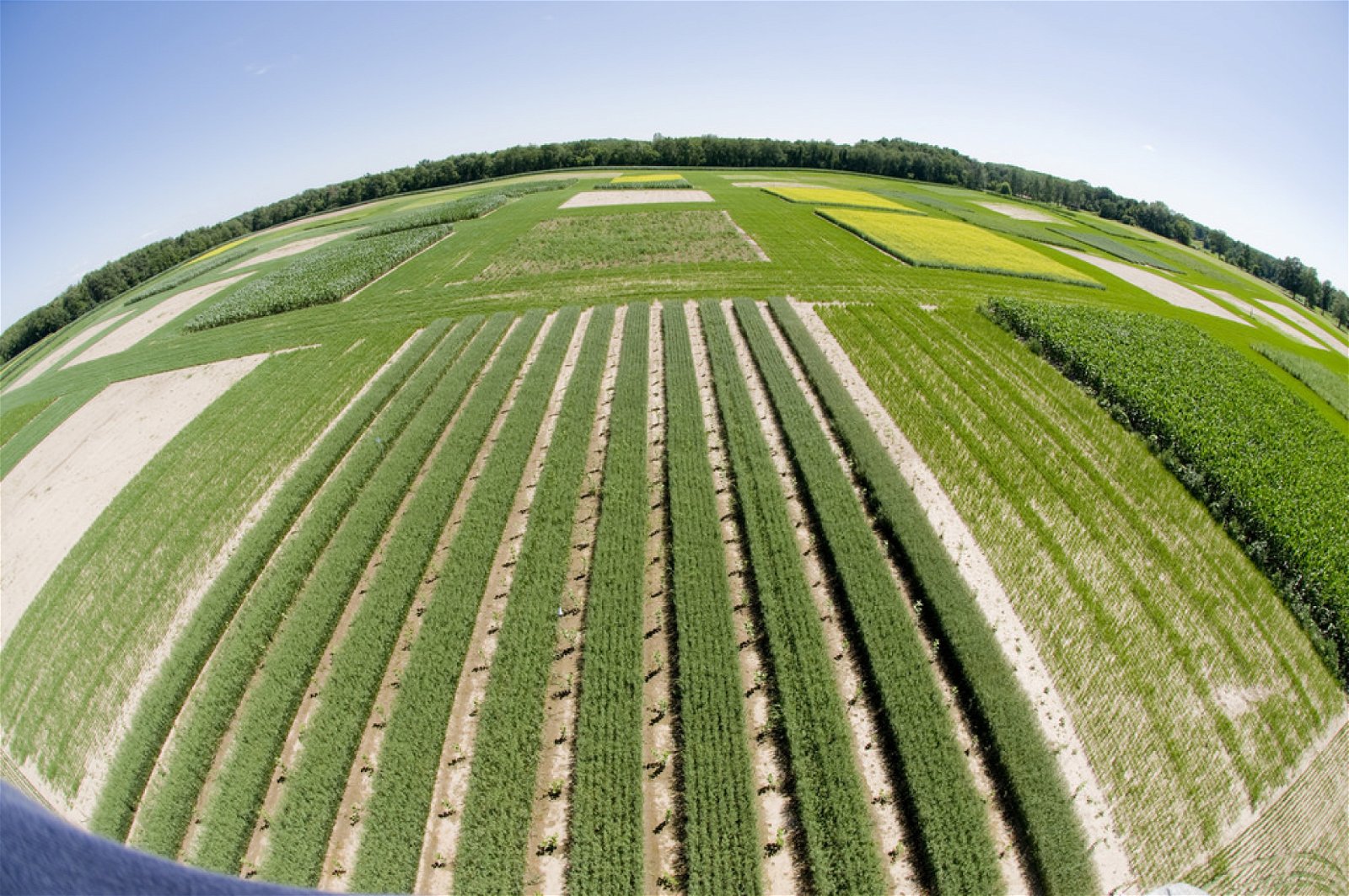a variety of crop fields