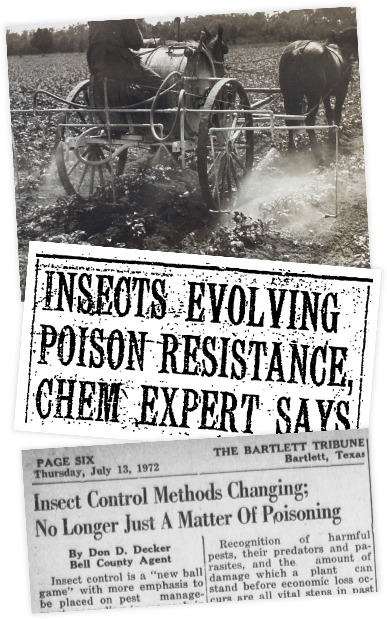 1930s newspaper about pesticides