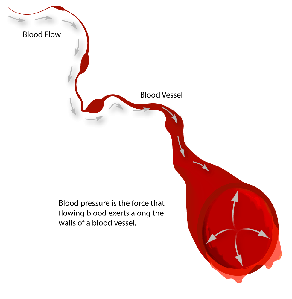 blood vessel