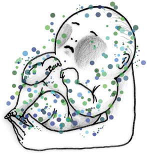 baby microbiome