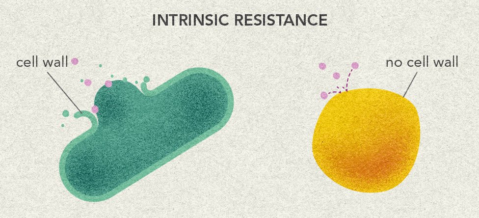 intrinsic resistance