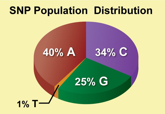 Population Distributions