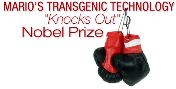 Capecchi's Transgenic Technology "Knocks Out" the Nobel Prize;
