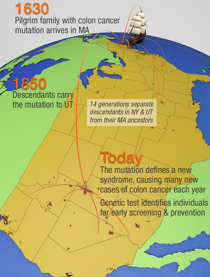 Colon Cancer Mutation Map